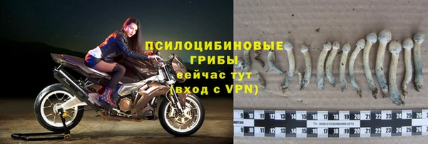 кокс Абдулино