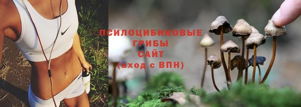 кокс Абдулино