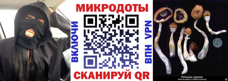 Псилоцибиновые грибы прущие грибы  Шарья 